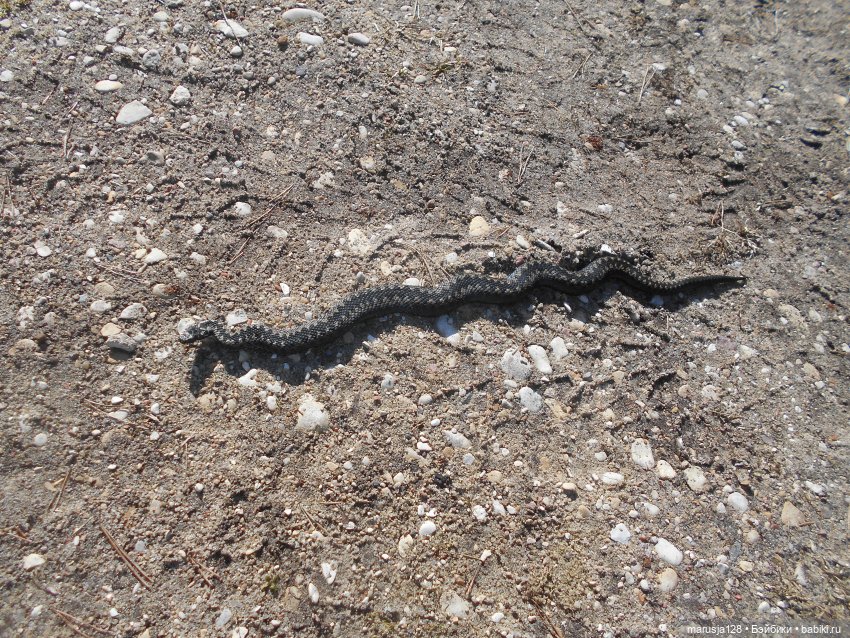 Снова остров Вормси — Туризм и путешествия: фотоотчеты из поездок