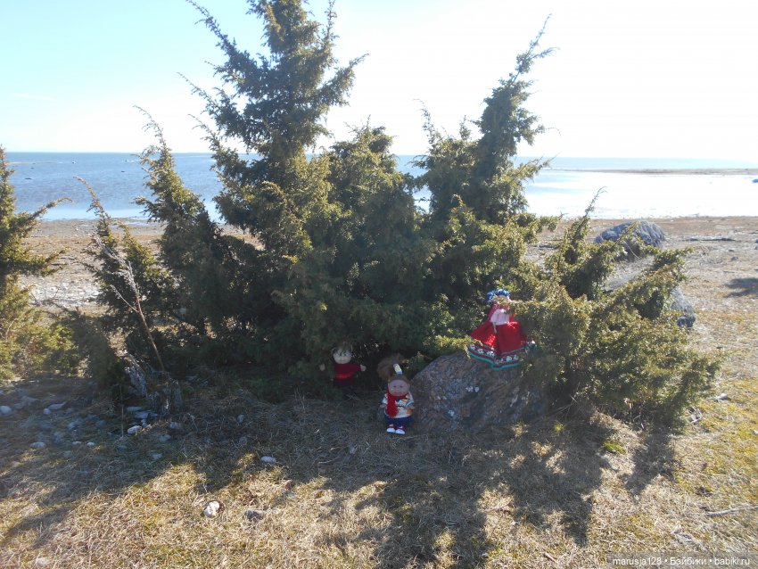 Снова остров Вормси — Туризм и путешествия: фотоотчеты из поездок