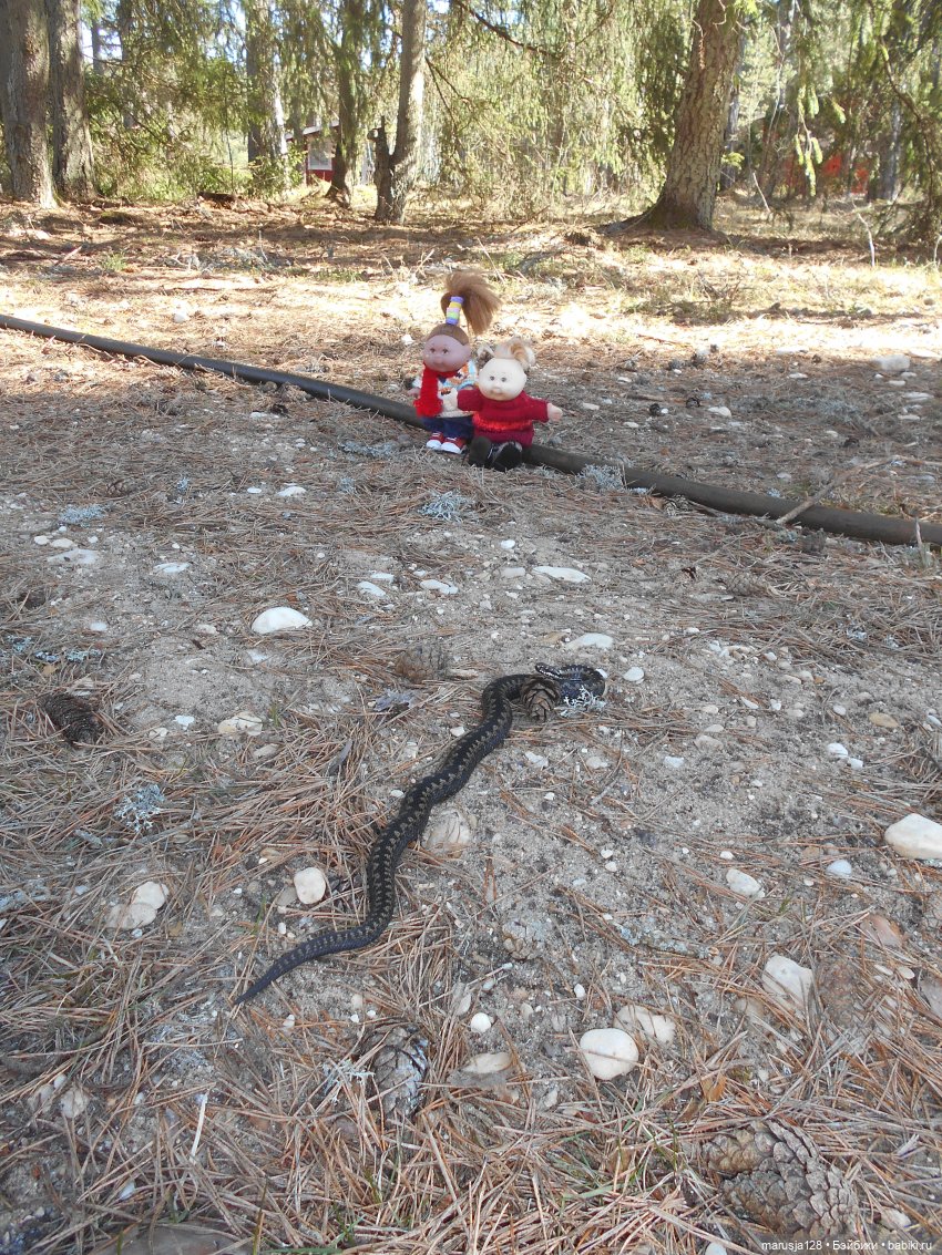 Снова остров Вормси — Туризм и путешествия: фотоотчеты из поездок