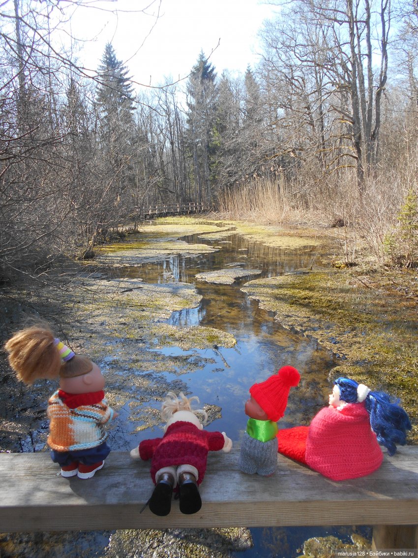 Снова остров Вормси — Туризм и путешествия: фотоотчеты из поездок