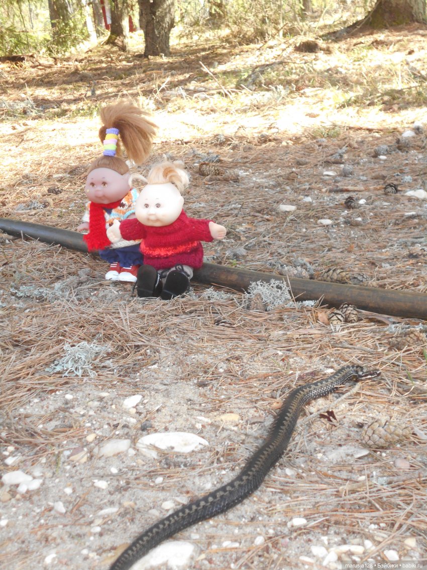 Снова остров Вормси — Туризм и путешествия: фотоотчеты из поездок