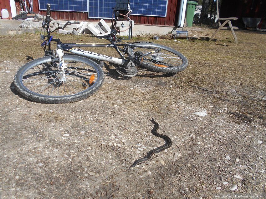 Снова остров Вормси — Туризм и путешествия: фотоотчеты из поездок