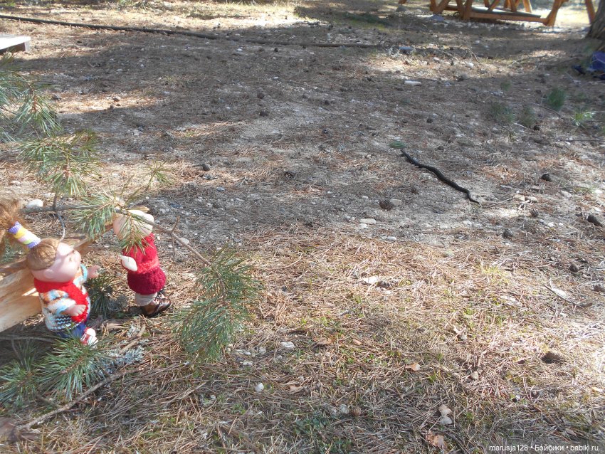 Снова остров Вормси — Туризм и путешествия: фотоотчеты из поездок