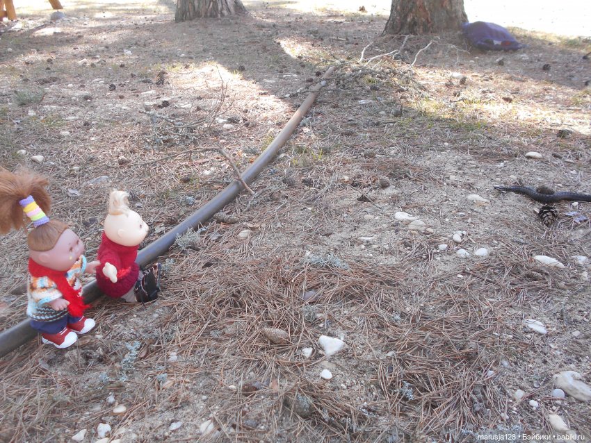 Снова остров Вормси — Туризм и путешествия: фотоотчеты из поездок