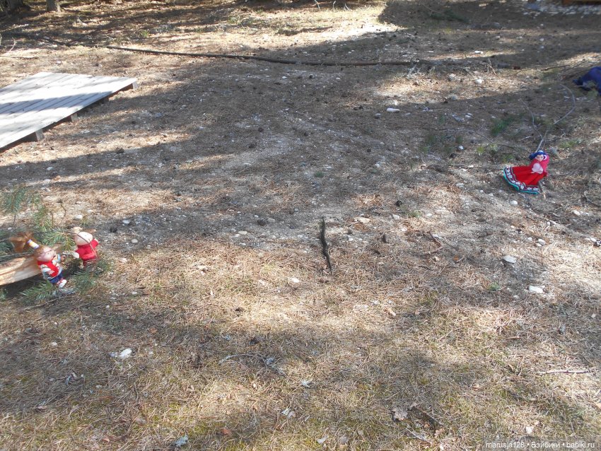 Снова остров Вормси — Туризм и путешествия: фотоотчеты из поездок