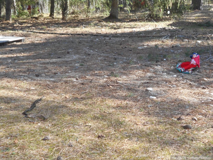 Снова остров Вормси — Туризм и путешествия: фотоотчеты из поездок