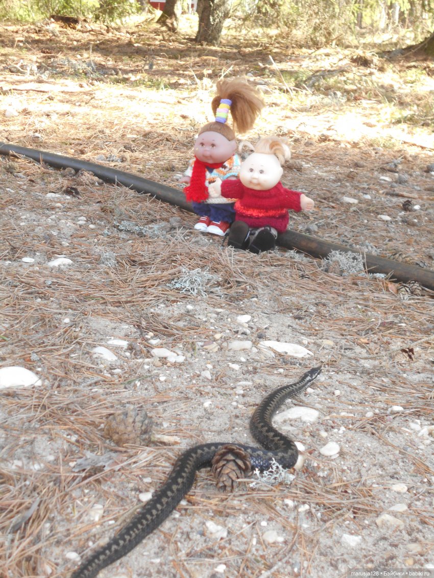 Снова остров Вормси — Туризм и путешествия: фотоотчеты из поездок