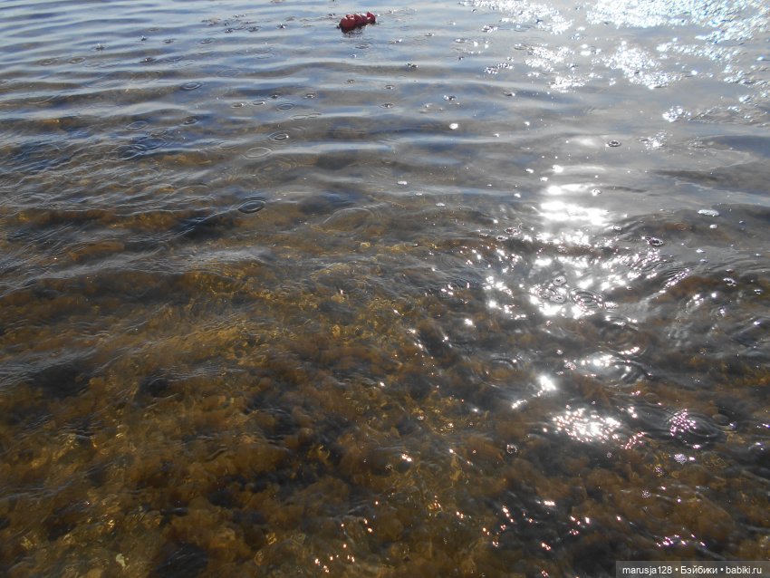 Снова остров Вормси — Туризм и путешествия: фотоотчеты из поездок