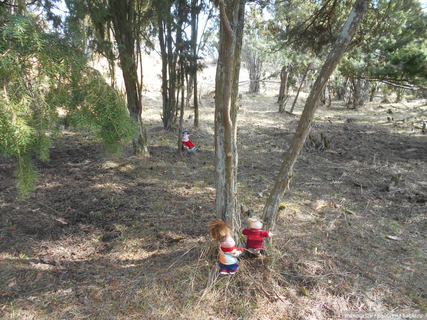 Снова остров Вормси — Туризм и путешествия: фотоотчеты из поездок