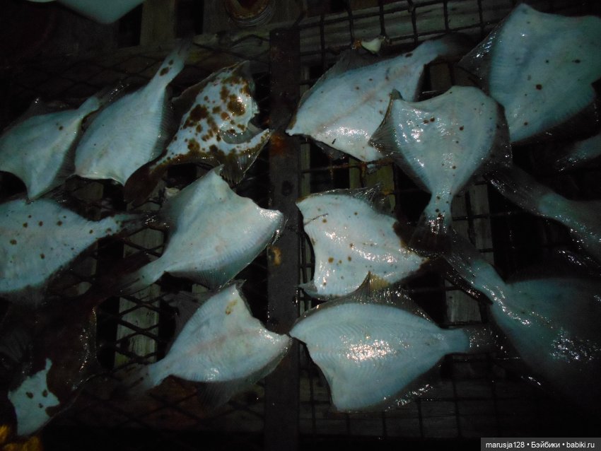 Снова остров Вормси — Туризм и путешествия: фотоотчеты из поездок