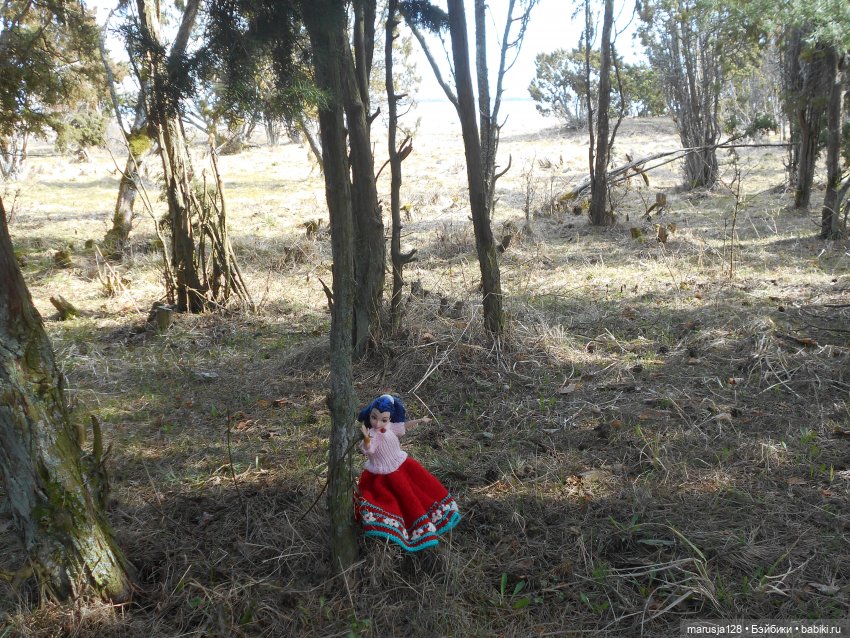 Снова остров Вормси — Туризм и путешествия: фотоотчеты из поездок