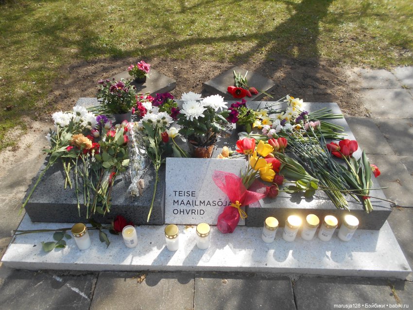 Орлы из Страны Оз: к девятому мая (фото 7)