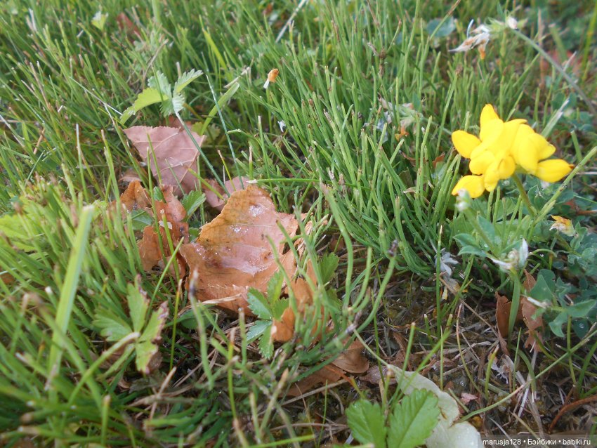 Заря над городом. Глава 4: Что такое Свобода?(2)