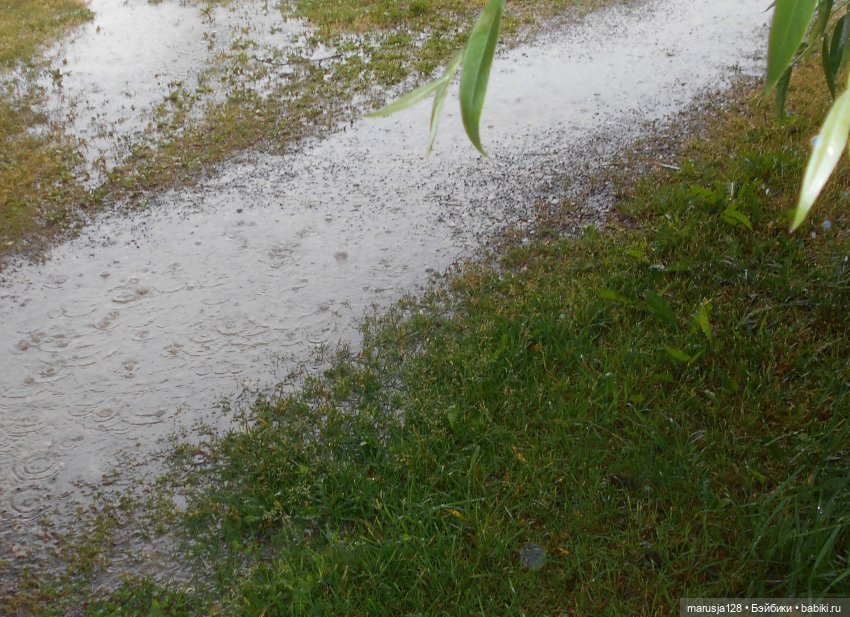 Заря над городом. Глава 4: Что такое Свобода?(2) (фото 2)
