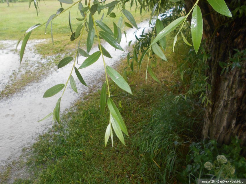 Заря над городом. Глава 4: Что такое Свобода?(2) (фото 6)