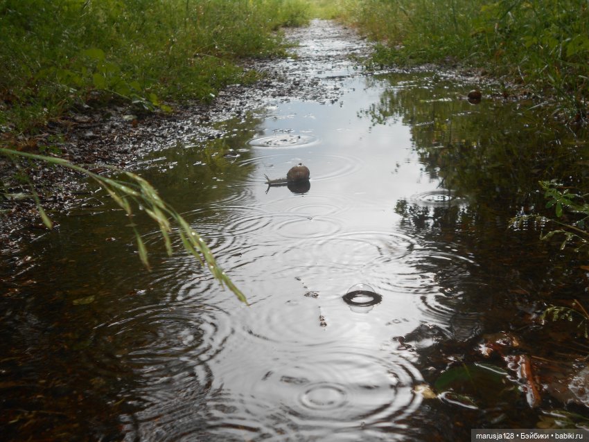 Заря над городом. Глава 4: Что такое Свобода?(2) (фото 3)