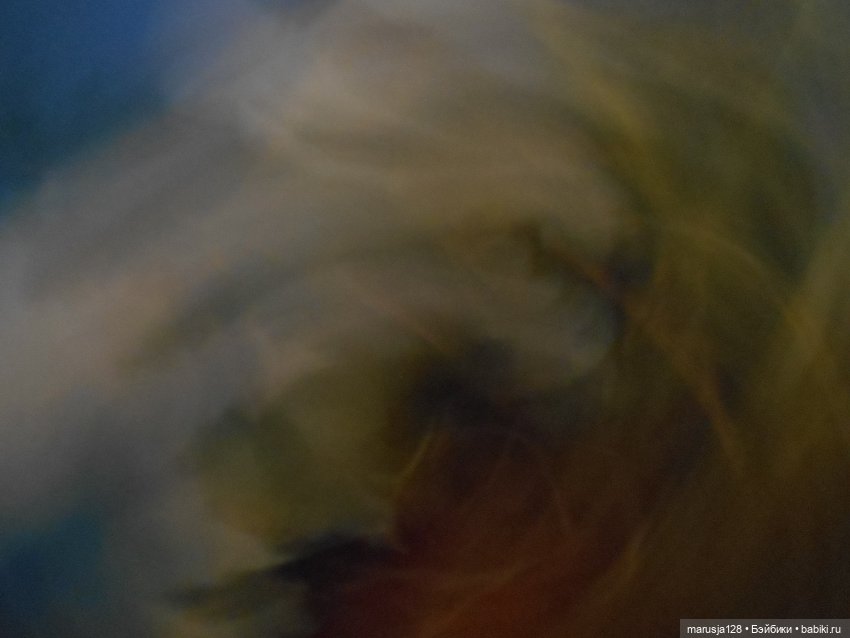 Епископ шутов Тиль Уленшпигель наставляет молодёжь (фото 7)