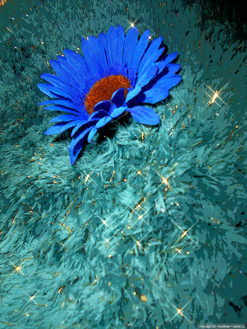 Тереза-Ассоль и её морская сказка