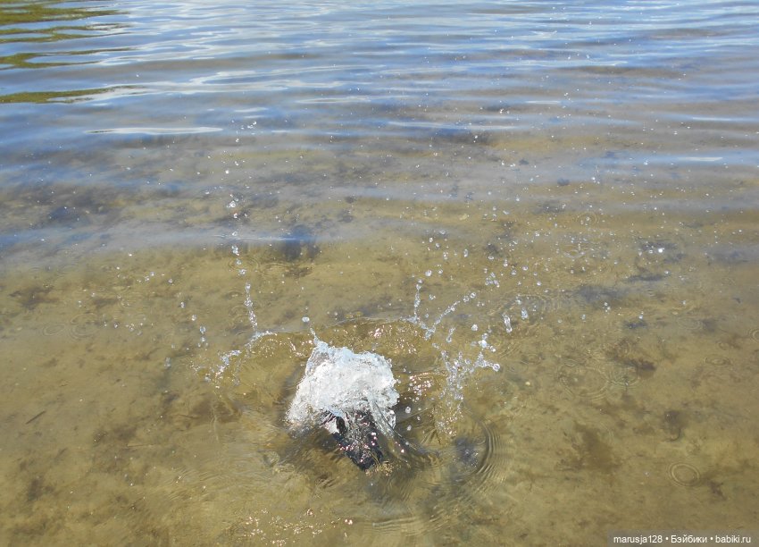 За кадром: Петя и Фалмерина