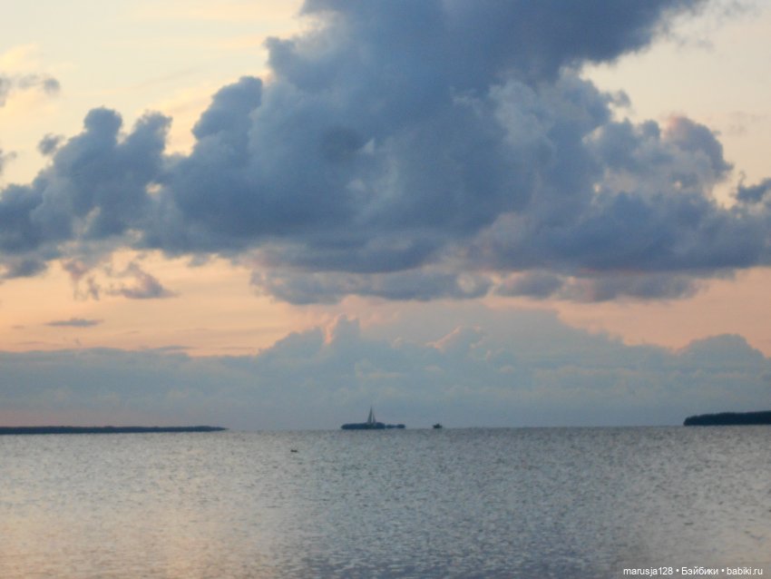 Эльф и человек — Интересное обо всем: поздравления