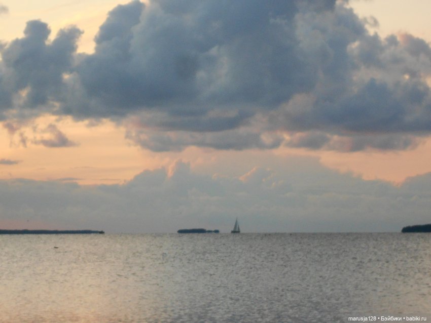 Эльф и человек — Интересное обо всем: поздравления