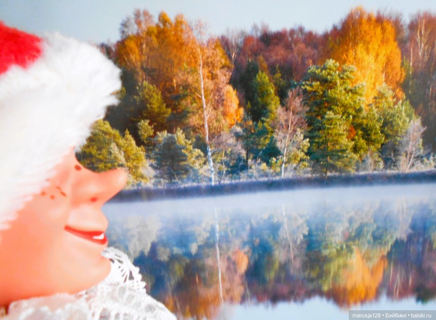 Встреча в лесу — Интересное и необычное: фотоподборки (фото 4)