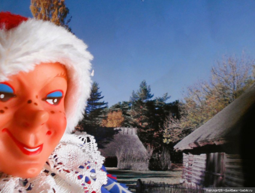 Встреча в лесу — Интересное и необычное: фотоподборки (фото 3)