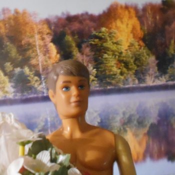 Встреча в лесу