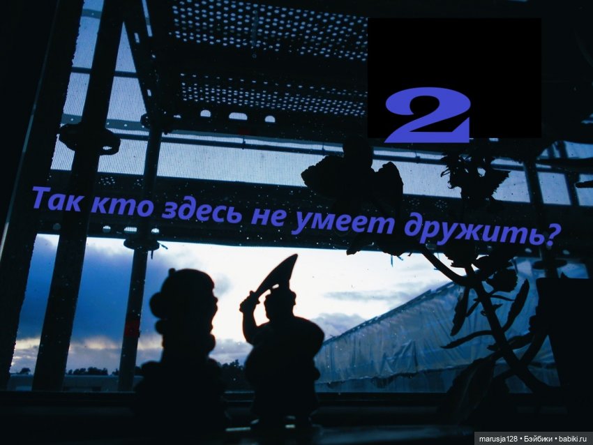 НовомакНовости возвращаются в видеоформате (фото 2)