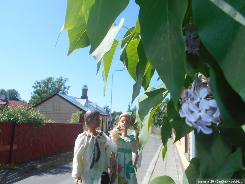 Заря над городом. Глава 10: Воля(1) (фото 7)