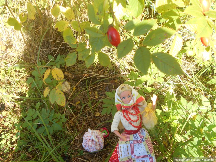 Тётя Ксана — Аналоги Барби и куклы 1/6: клоны 90