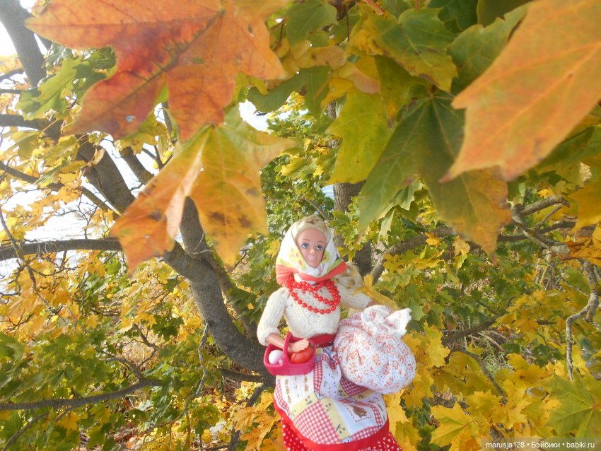 Тётя Ксана — Аналоги Барби и куклы 1/6: клоны 90