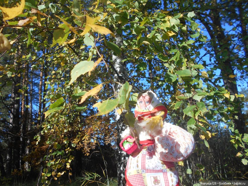 Тётя Ксана — Аналоги Барби и куклы 1/6: клоны 90