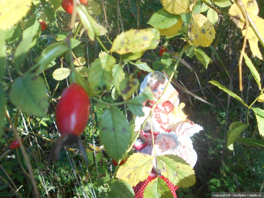 Тётя Ксана — Аналоги Барби и куклы 1/6: клоны 90