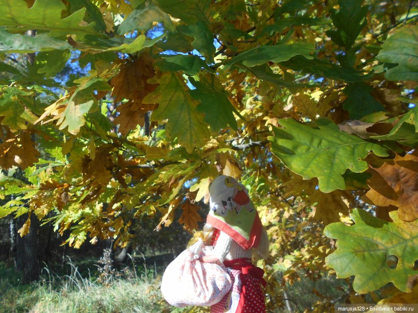 Тётя Ксана — Аналоги Барби и куклы 1/6: клоны 90