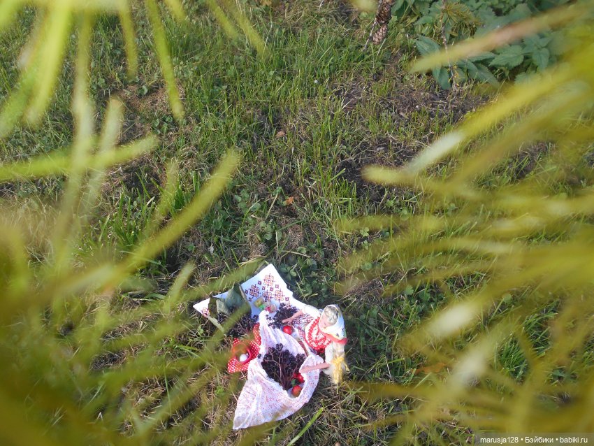 Тётя Ксана — Аналоги Барби и куклы 1/6: клоны 90