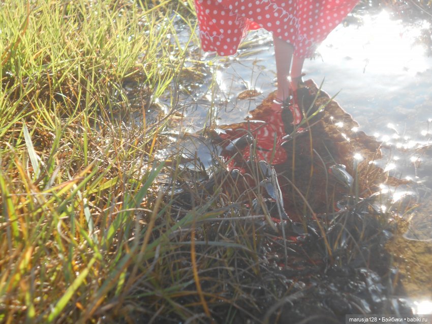 Тётя Ксана — Аналоги Барби и куклы 1/6: клоны 90