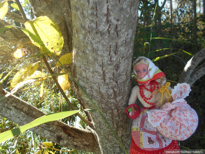 Тётя Ксана — Аналоги Барби и куклы 1/6: клоны 90