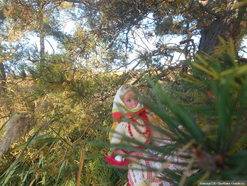 Тётя Ксана — Аналоги Барби и куклы 1/6: клоны 90 (фото 9)