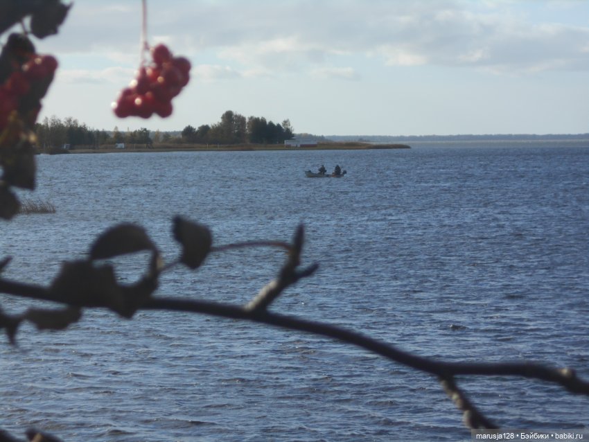 Тётя Ксана — Аналоги Барби и куклы 1/6: клоны 90