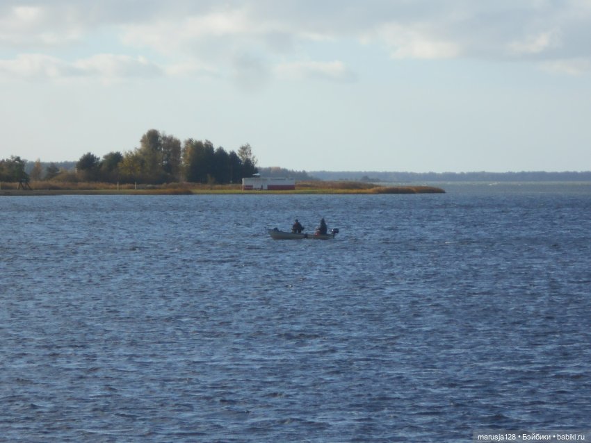 Тётя Ксана — Аналоги Барби и куклы 1/6: клоны 90