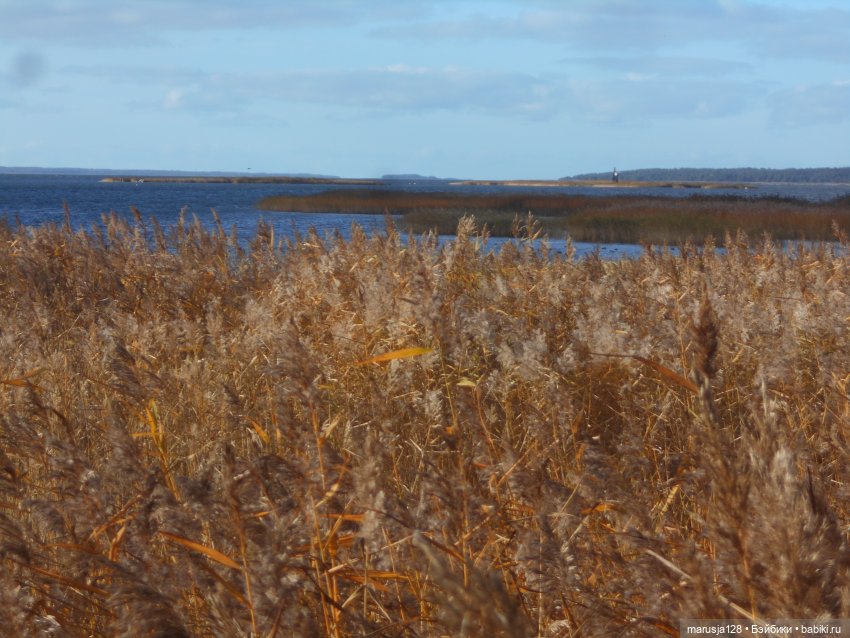 Тётя Ксана — Аналоги Барби и куклы 1/6: клоны 90