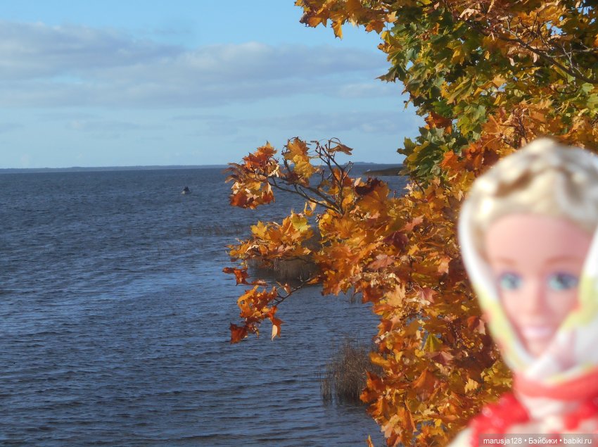 Тётя Ксана прибыла — Аналоги Барби и куклы 1/6: клоны 90