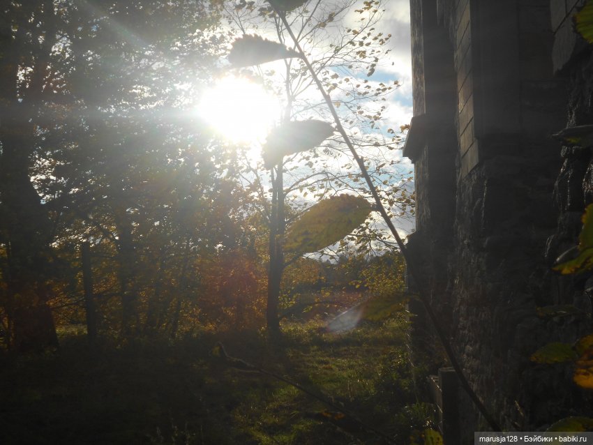 "Неправильные" жених и невеста (18+)