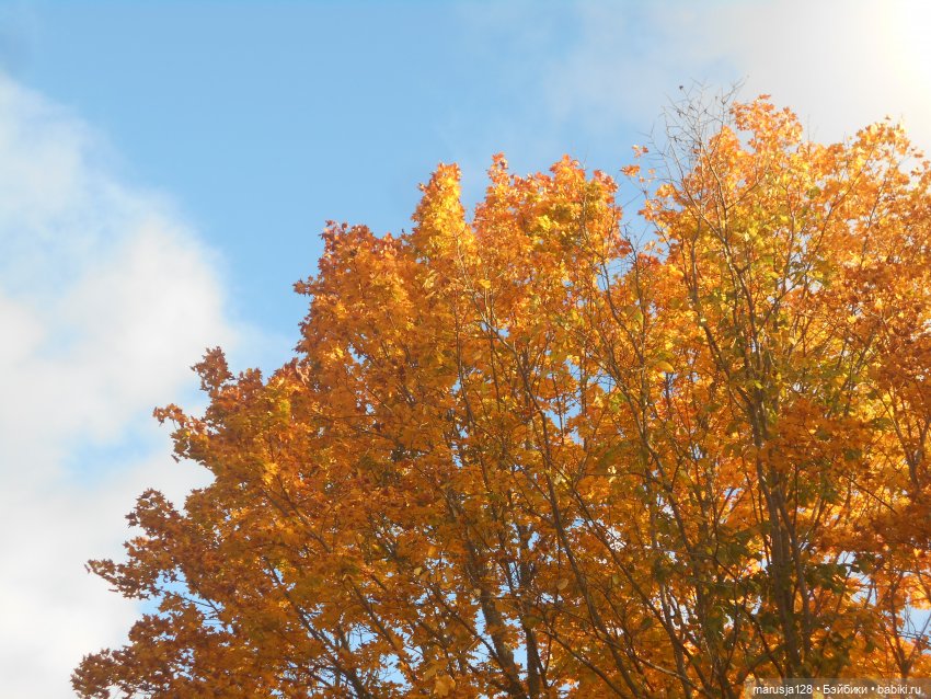 "Неправильные" жених и невеста (18+)