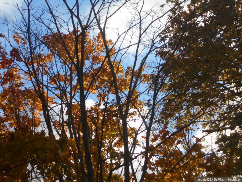 "Неправильные" жених и невеста (18+)