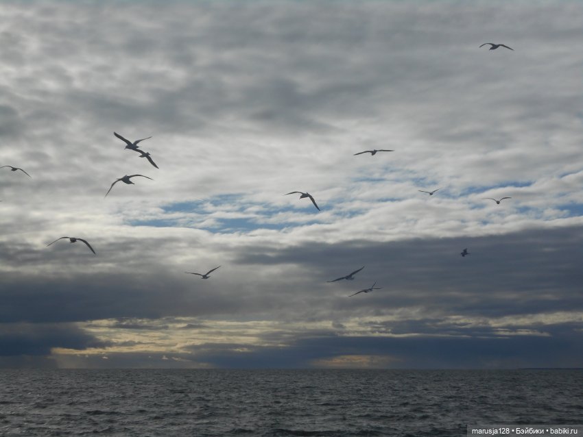 Тётушка покидает город — Аналоги Барби и куклы 1/6: клоны 90