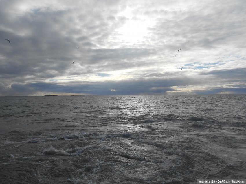 Тётушка покидает город — Аналоги Барби и куклы 1/6: клоны 90