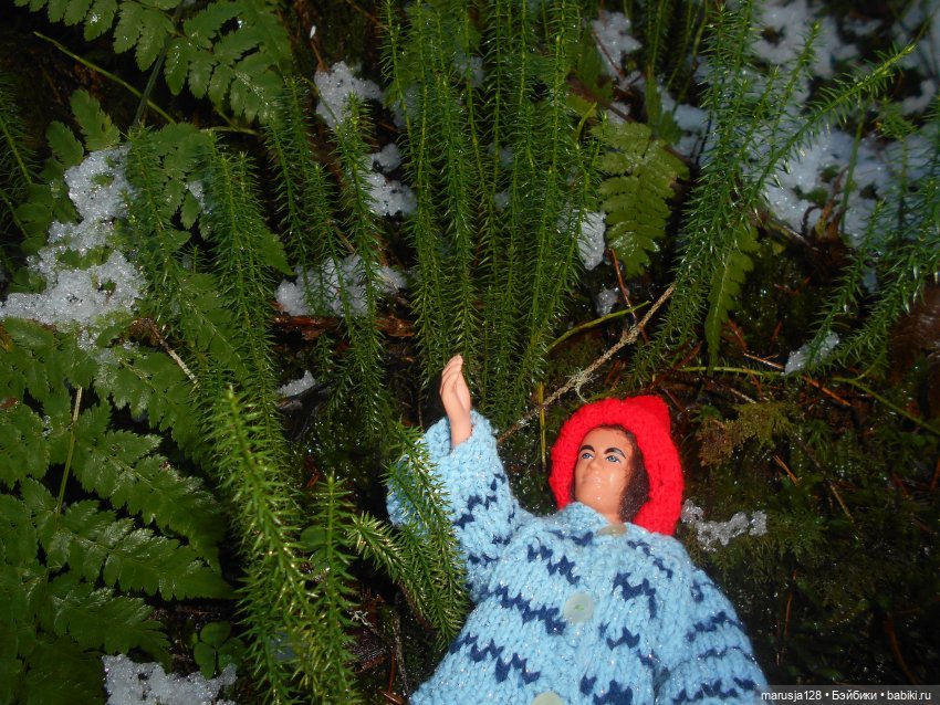 О грибочках и не только — Аналоги Барби и куклы 1/6: клоны 90