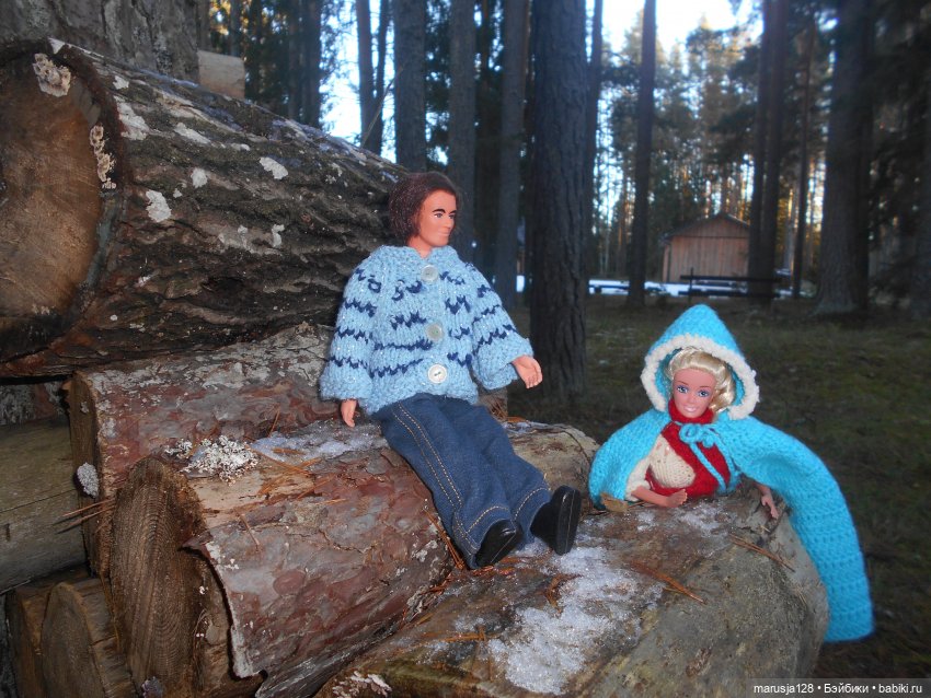 О грибочках и не только — Аналоги Барби и куклы 1/6: клоны 90